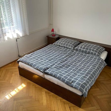 Iva Apartments Novigrad  Zewnętrze zdjęcie
