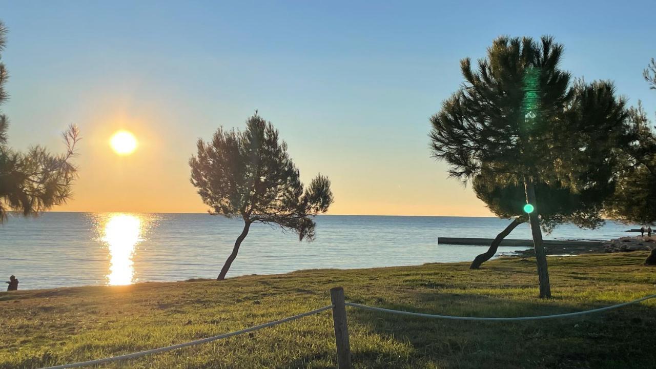 Iva Apartments Novigrad  Zewnętrze zdjęcie