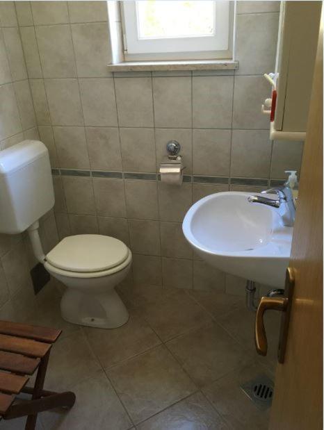 Iva Apartments Novigrad  Zewnętrze zdjęcie