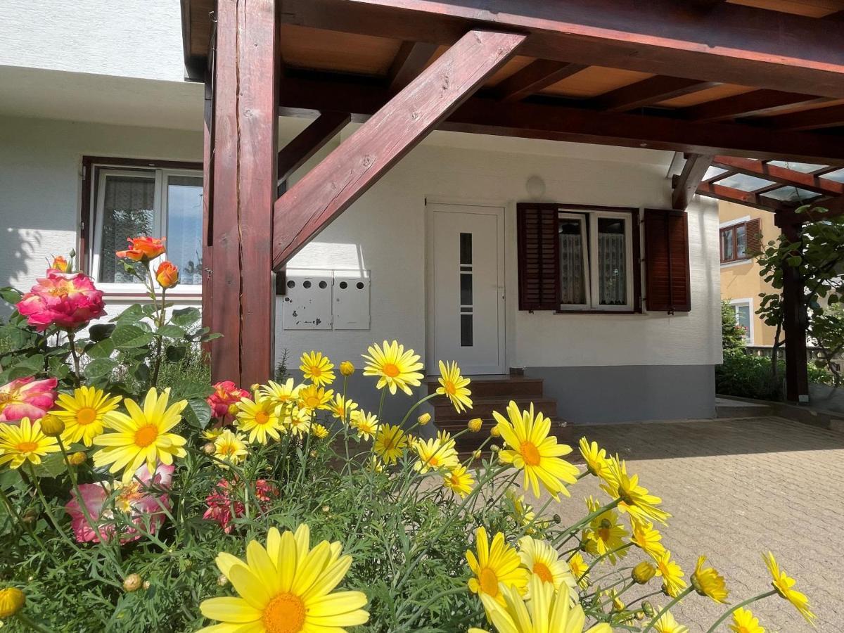Iva Apartments Novigrad  Zewnętrze zdjęcie